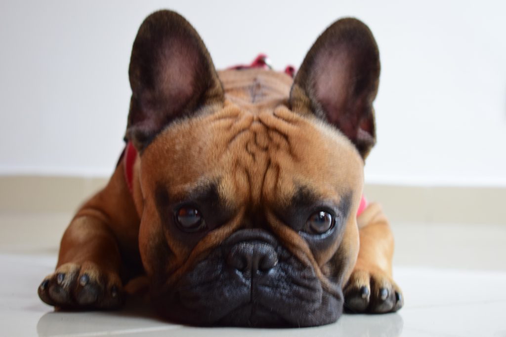Franco